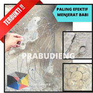 10pcs Perangkap babi KAWAT STANDARD Jerat Jebakan babi Lapun babi hutan Bronjong