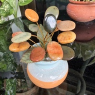 Lucky Jade 4 Inches High