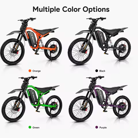 BIGNIU BG-SP 3000W Electric Bike for Adults, 60V Battery, Full Suspension High Performance E-Bike wi
