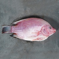 Tilapia Whole Fish [NR Farmers Market ]
