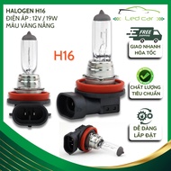 Bóng đèn halogen h16 19w 12v chất lượng cao bóng đèn gầm