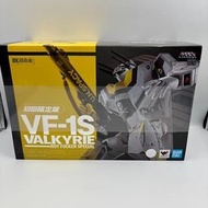 Bandai DX 超合金 Macross VF-1S Valkyrie Roy Focker Special 超時空要塞 VF-1S 韋基利 福卡