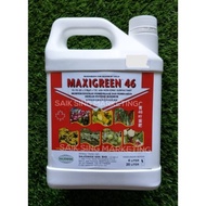 4L Maxigreen 10-16-20+2Mgo+TE Baja Foliar Bunga dan Buah Flowering and Fruiting Foliar
