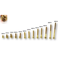 ENGINE SCREW M6 GOLD