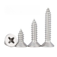 304 Stainless Steel Self-Tapping Screw Phillips Countersunk Head Screw Flat Head Self-Tapping Screw 