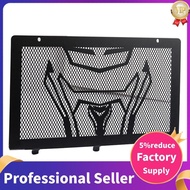 Motorcycle Radiator for  250CLX Motorcycle Accessories