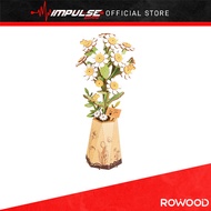 Robotime Rowood Flower Series TW061 - Chamomile