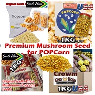 Premium Popcorn Mushroom Seed 1KG South Africa & USA Bertih Jagung Bebola Bulat Pop Corn Biji Jagung