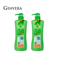 GINVERA Green Tea Shampoo 750g x 2 (Dry Hair)