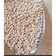 White Millet Seeds for Hamsters, Birds, Parrots, Chickens