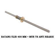 MESIN EELIC SEP-MURT8SPRING 400mm lead 8mm pitch 2mm Linear screw rod T8 Mix brass nut T8 backlash s