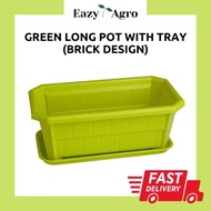 Pasu Panjang Hijau dengan Dulang Sayur Long Flower Pot with Tray Green Vegetables [Eazy Agro]