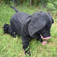 Zodiac Cartoon Man Wearing Pig Doll Costume Animal Man Costume Props Big Cartoon Doll Doll Costume