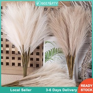 GeeParty 10Pcs Fluffy Pampas Grass Fake Reed Simulated Artificial Flower Boquet for Birthday Party D