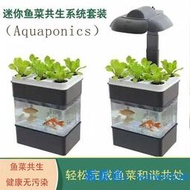 生態魚缸水族箱迷你魚菜共生系統帶燈小型桌面金魚缸免換水亞克力