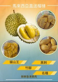 馬來西亞直送榴槤鮮果