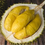 Durian Musang King Fresh Durians From Raub