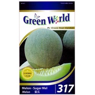 (5 Pack) Green World Seeds F1 Melon Susu @Melon - Sugar Mel