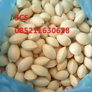Dried Ginko Nuts Dried Gingko Nuts Bai guo/s 100 grams