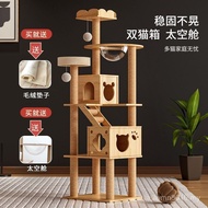 Cat Litter Small Apartment JOXV