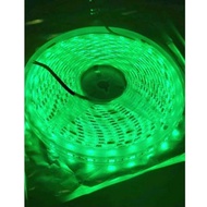 Waterproof LED STRIP Lights 24 DCF 5050 SMDVOLT waterproof 5 meters