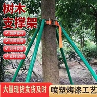 Retainer Big Tree Galvanized Seedling Steel Pipe Support Rod Garden Greening Windproof Tree Retainer