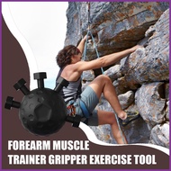 Strength Training Grip Strengthener Forearm Trainer Tool Gripper Exercise Forearm Workout Force Grip