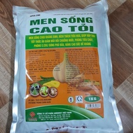 Live yeast with garlic extract 1kg digestive enzymes for chickens; supplement garlic yeast extract