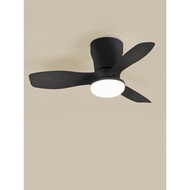 Ceiling Fan With Light | 22~28 Inch Mini LED Ceiling Fan, Three-Blade Fan black/withe