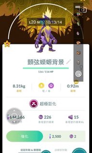 Pokemon go超極巨化和色違寶可夢