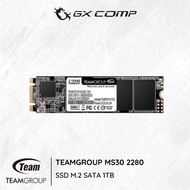 Team SSD M.2 Sata 2280 MS30 1TB | Teamgroup M.2 Sata MS30 1 TB