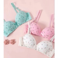 [TKPD26A] Wirefree Felancy Push Up Bra 081-01030 030 Size 32B (B70)