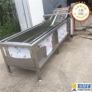 【公司貨】可配套油桃氣泡清洗機 韭菜噴淋式清洗設備 銀耳木耳清洗機