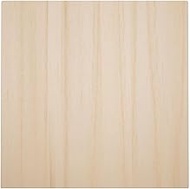 2 1/2"W x 2 1/2"H x 7/8"P Americraft Solid Hardwood Stain Grade Standard Smooth Rosette with Squared