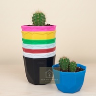 8CM GEM POT WHITE YELLOW PINK 8cm Pot WHITE YELLOW PINK plastic pot WHITE FLOWER VASE.