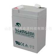 Set BT-6M4.0AC(6V4Ah/20HR)Electronic Scale Hanging Scale Stroller Battery BT-6M4.5AC