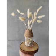 Mini Vas With Lagurus/ Mini Vas Set Lagurus / Mini Vas with Bunny Tail