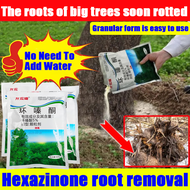 🔥Straight to the root🔥racun rumput mati akar tree killer chemical concentrated formula, long-lasting