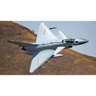 3D Printing Model Aircraft J10c Fighter, Can Be Colored by Yourself [12 * 7cm], Customized Size Need