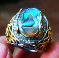 Cincin Pria Batu Natural Abalon Shel Kerang Laut Top Colour