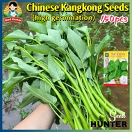 High Yield Chinese Upland Kangkong Seeds for Planting Vegetable (High Germination 150 Seed) Big Leaf