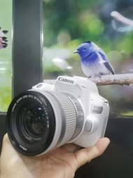 Canon EOS 200D II 18-55mn STM KIT 相機