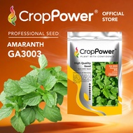 (500 GRAM) Biji Benih Bayam Liar Mustang 野马 GA3003 CROP POWER Wild Amaranth 原生马齿苋菜 GA 3003
