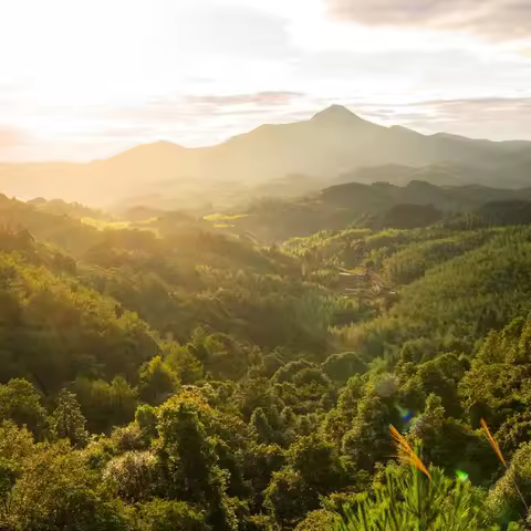 New 36V 100Ah 250W 500W 750W 1000W 10S4P DC/T Lithium ion Battery Pack 100Ah For 42v with BMS