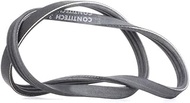 CONTITECH 3PK750 V-Ribbed Belt