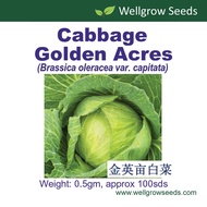 Cabbage Golden Acres (0.5gm approx 100sds) 金英亩白菜 Kobis Vegetable Seeds Wellgrow Seeds