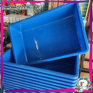 Tangki Khas untuk Guppy dan Ikan laga atau Lobster (70L) Aquaponic Plastic Tank Fish Tank Lobster Ta