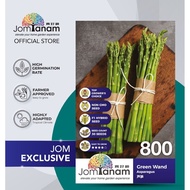 JOM TANAM Asparagus Seed/Benih Asparagus/芦笋种子 Green Wand 800 (30 seeds)