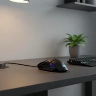Pro 6D Gaming Mouse, 12000 DPI, FR2012C+PAW3311, 3-Mode (BT/2.4G/Wired), 10m, 600mAh Dock, 69g, 1000
