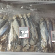 (360G) IKAN MASIN TAMBAN CC - tw kuantan